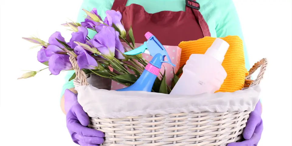 Zeit für den Frühjahrsputz: So putzen Sie erfolgreich
