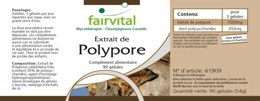 Polyporus Extrakt 500mg - 90 Kapseln - Polyporus umbellatus - Vegan | Fairvital