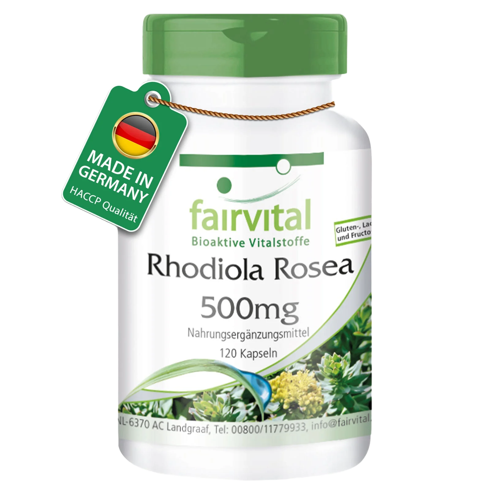 Rhodiola Rosea 500mg - 120 Kapseln - Rosenwurz Wurzel Extrakt - Hochdosiert und Vegan | Fairvital