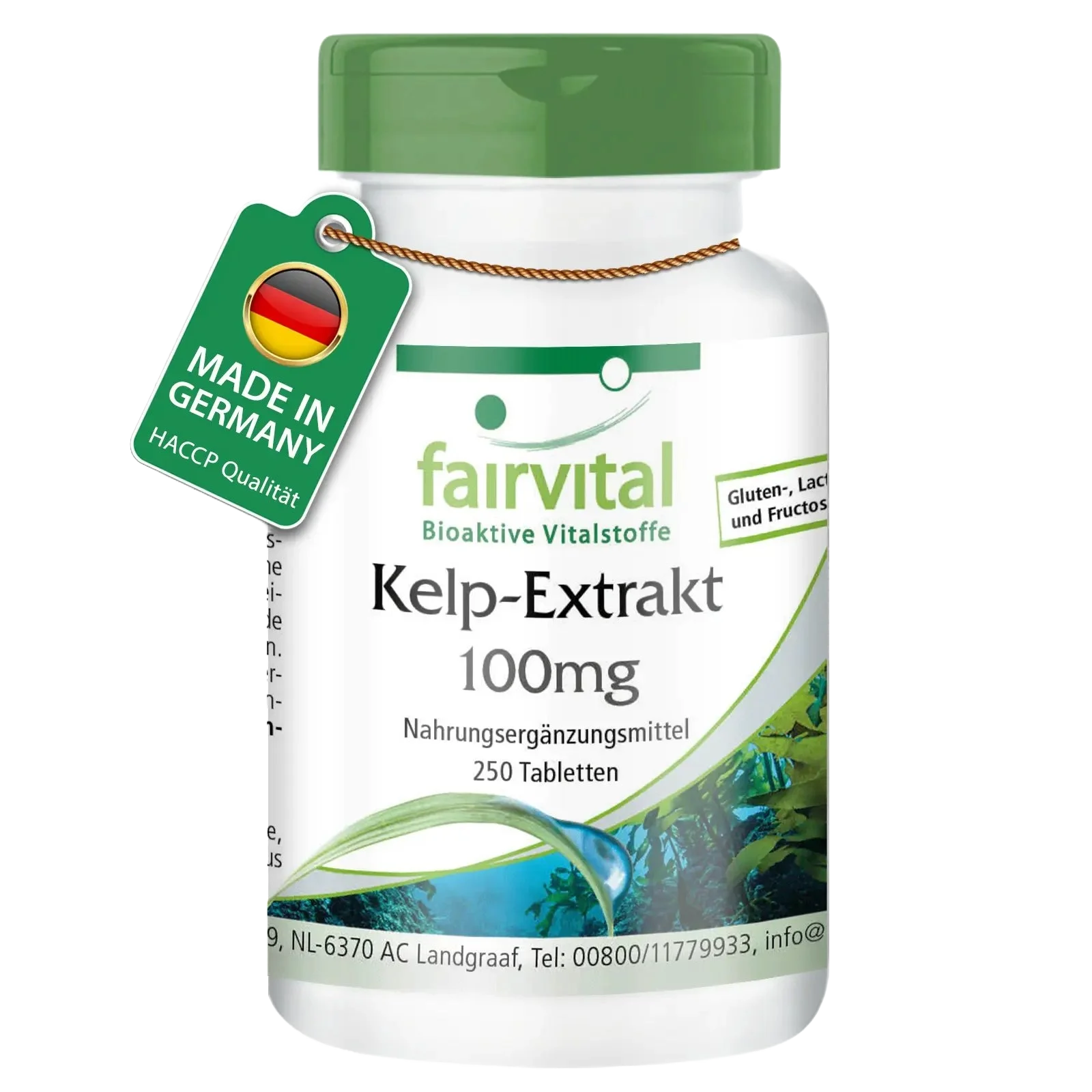 Kelp-Extrakt 100mg - 250 Tabletten - für Haut, Schilddrüse, Nervensystem uvm. | Fairvital
