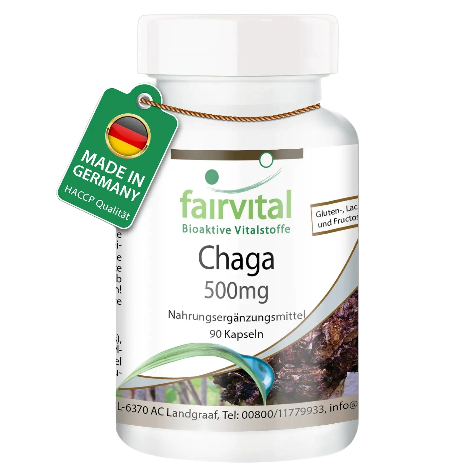 Chaga 500mg - 90 Kapseln - Inonotus obliquus - Hochdosiert und Vegan | Fairvital