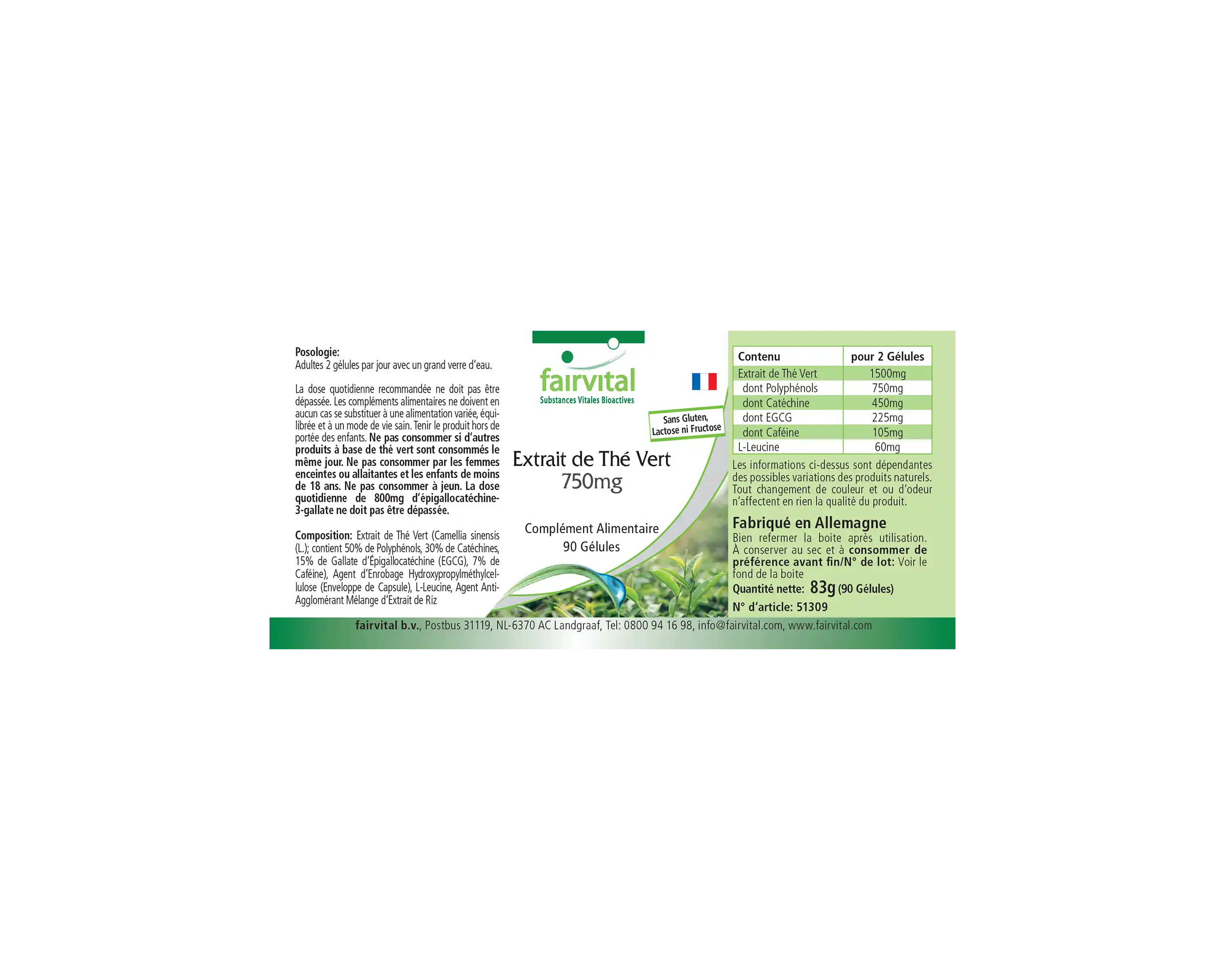 Grüner Tee Extrakt 750mg - Camellia Sinensis - 90 Kapseln - Hochdosiert und Vegan | Fairvital