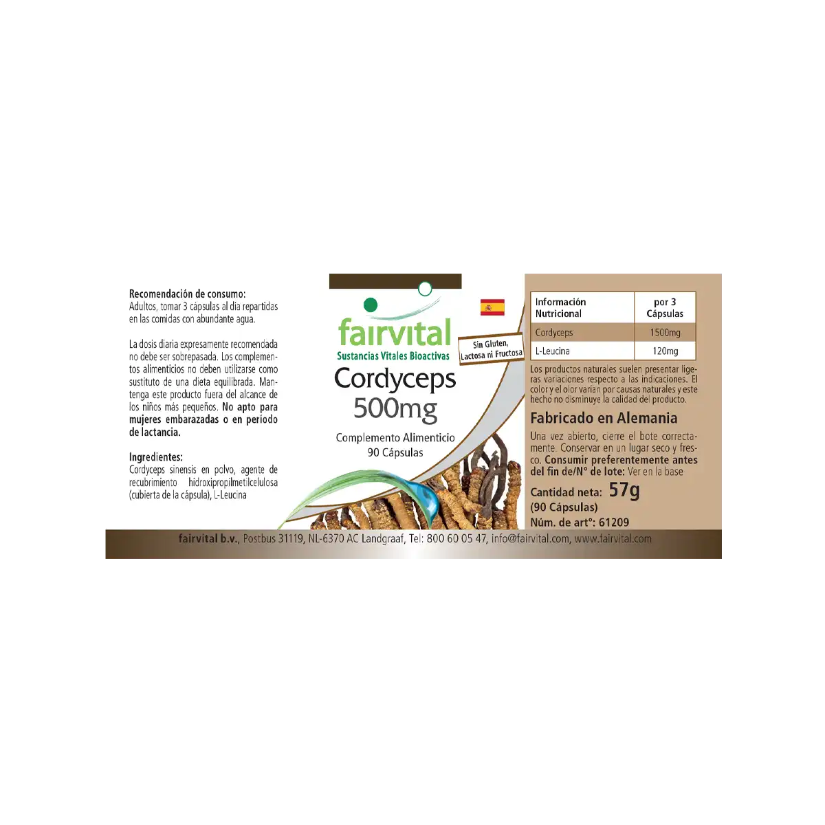 Cordyceps 500mg - 90 Kapseln  - Cordyceps Sinensis (Raupenpilz) - Hochdosiert und Vegan | Fairvital