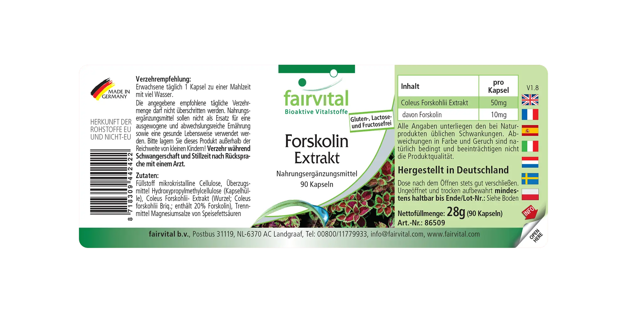 Forskolin Extrakt - 90 Kapseln - aus Coleus Forskohlii Extrakt - Hochdosiert und Vegan | Fairvital