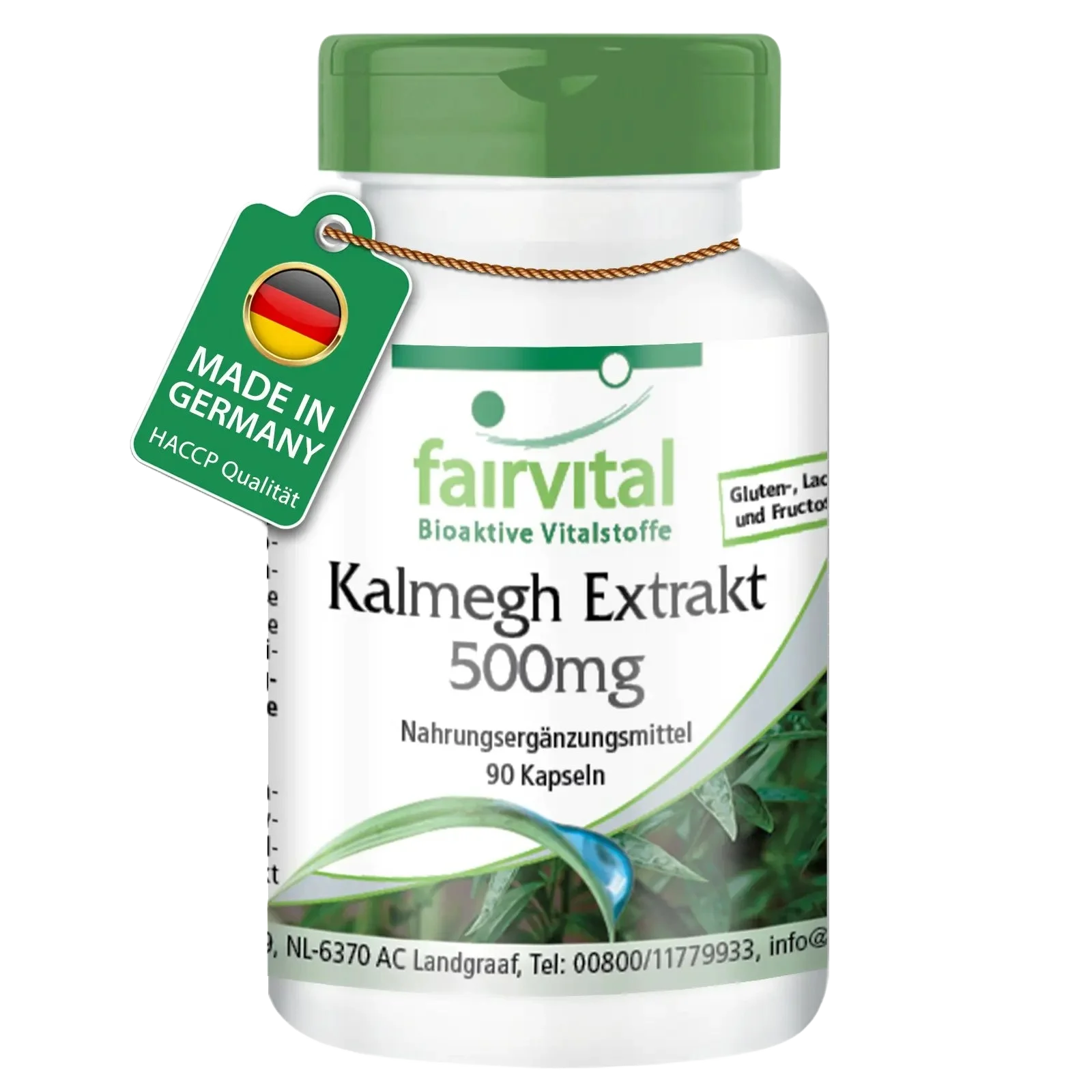 Kalmegh Extrakt 500mg - 90 Kapseln - 5-fach konzentriert - Hochdosiert und Vegan | Fairvital