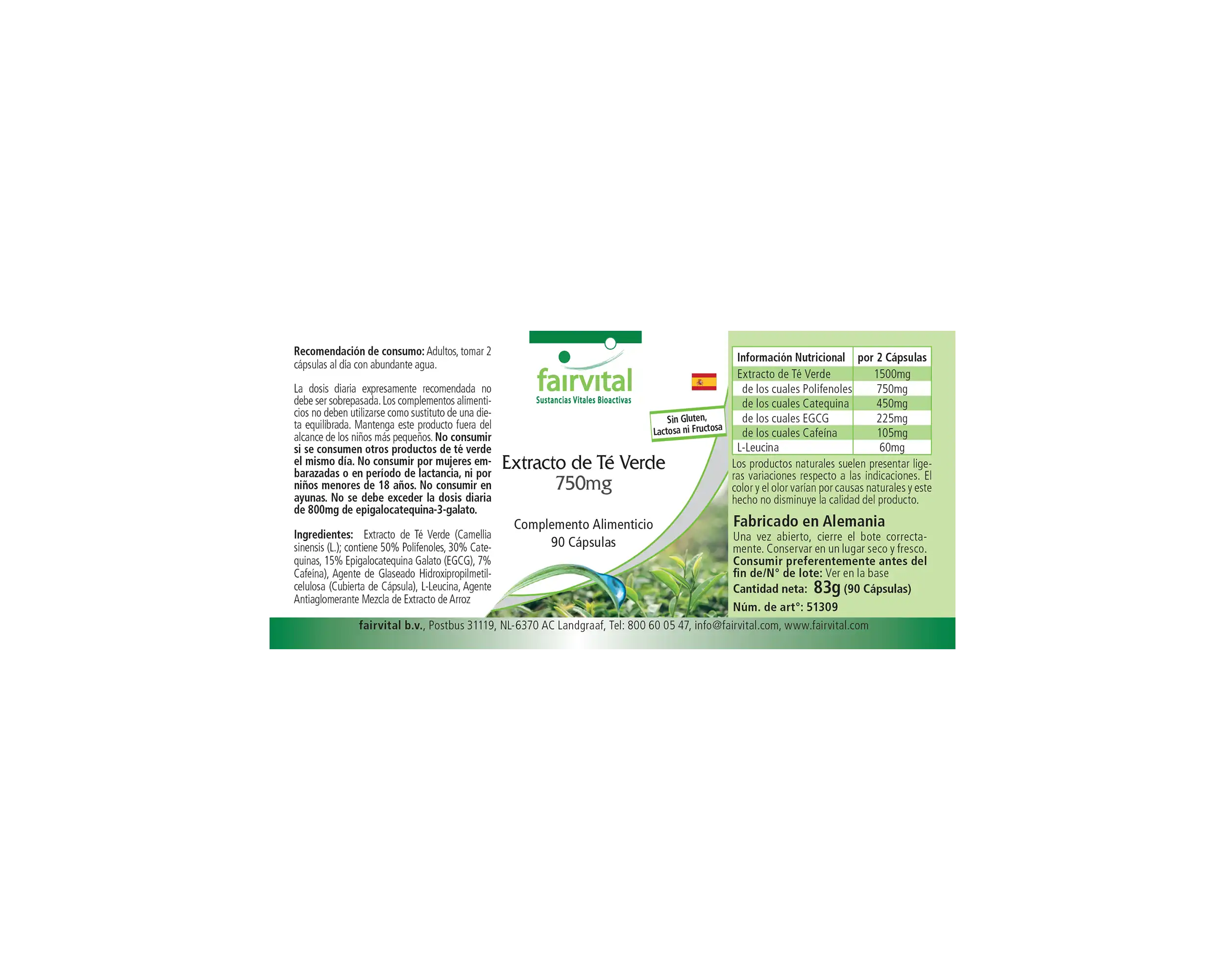Grüner Tee Extrakt 750mg - Camellia Sinensis - 90 Kapseln - Hochdosiert und Vegan | Fairvital