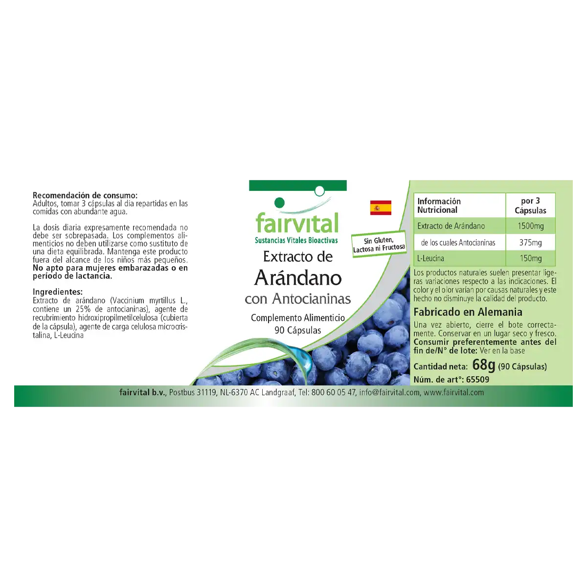 Heidelbeer-Extrakt mit Anthocyanen - 90 Kapseln - 25% Anthocyane - Hochdosiert und Vegan | Fairvital
