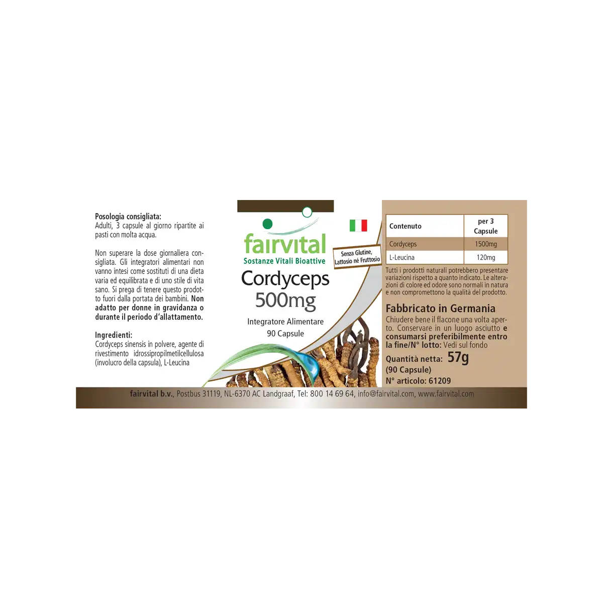 Cordyceps 500mg - 90 Kapseln  - Cordyceps Sinensis (Raupenpilz) - Hochdosiert und Vegan | Fairvital