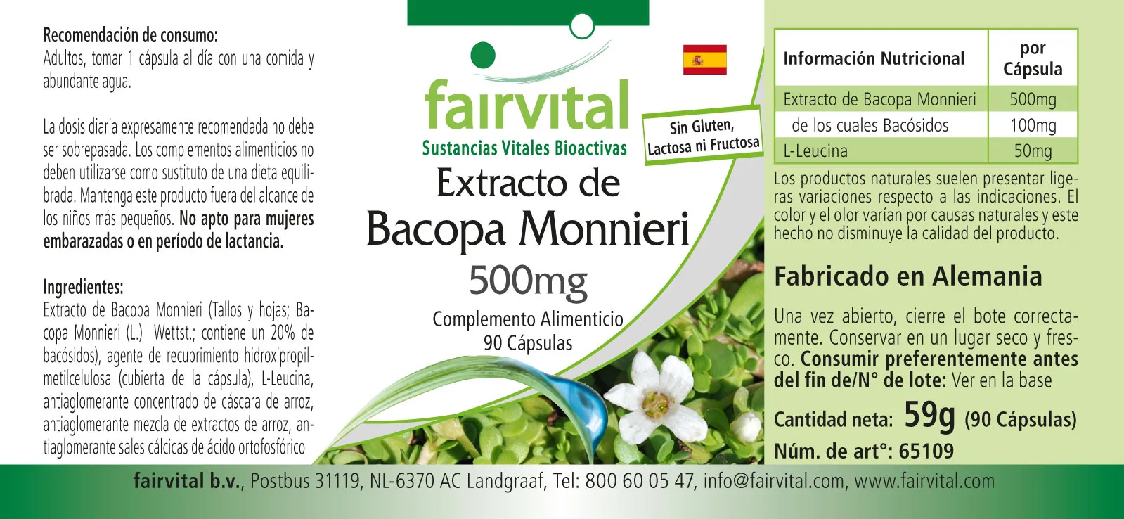 Bacopa Monnieri Extrakt 500mg - Brahmi Kapseln - mit 20% Bacoside - 90 Kapseln - Hochdosiert und Vegan | Fairvital