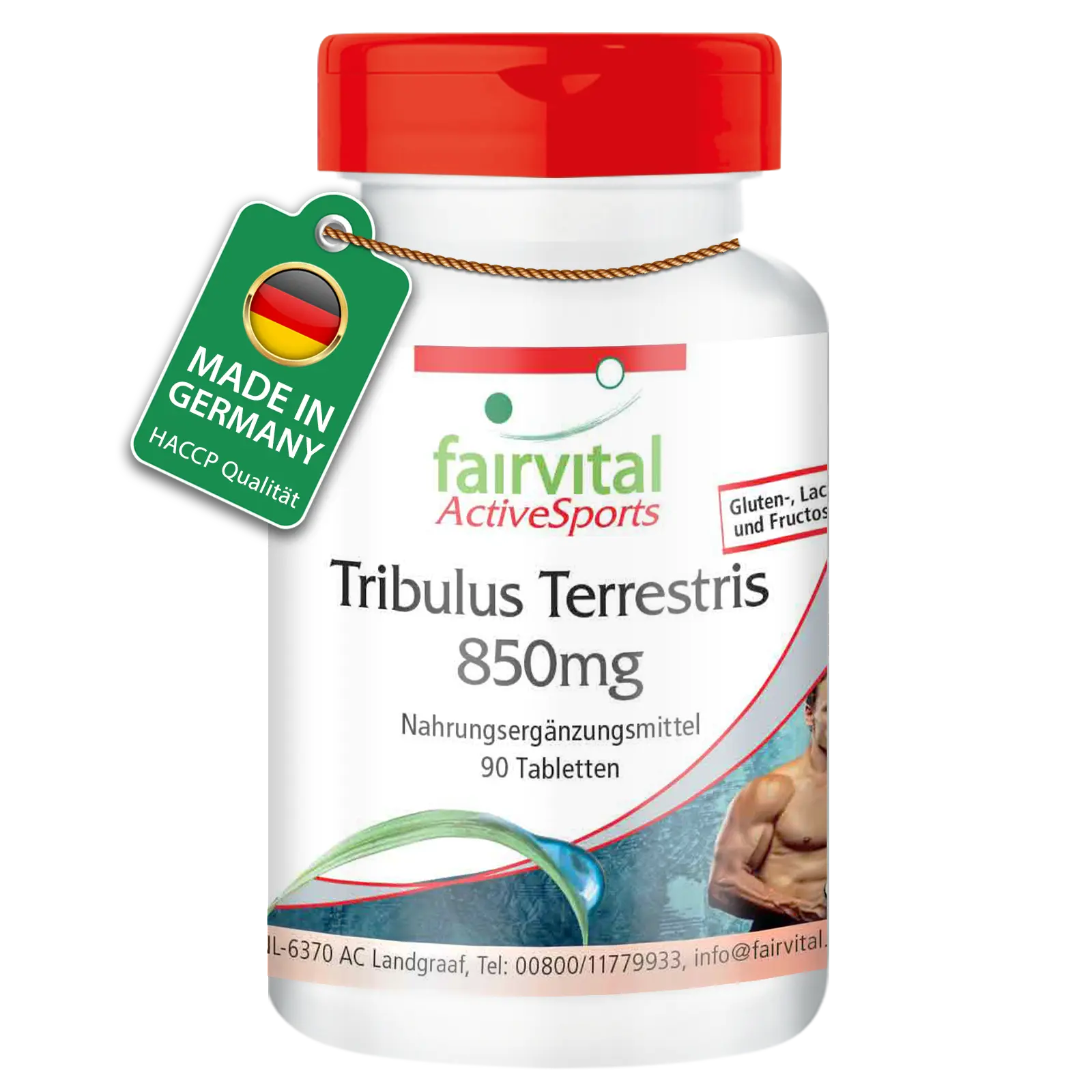 Tribulus Terrestris Extrakt 850mg - 90 Tabletten- HOCHDOSIERT & VEGAN | Fairvital