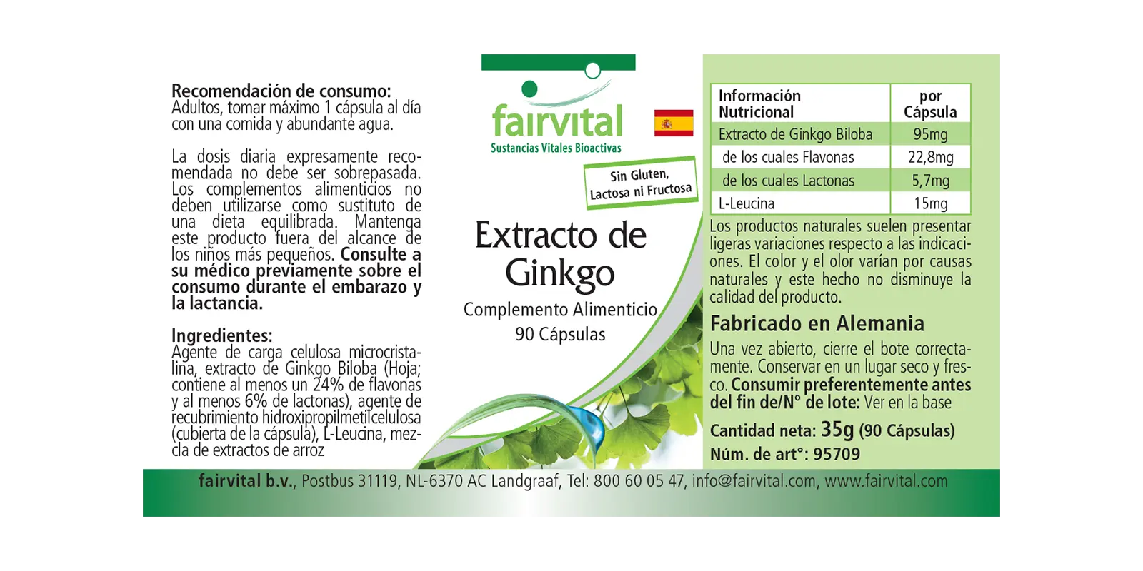 Ginkgo Extrakt- 90 Kapseln- Hochdosiert und Vegan | Fairvital