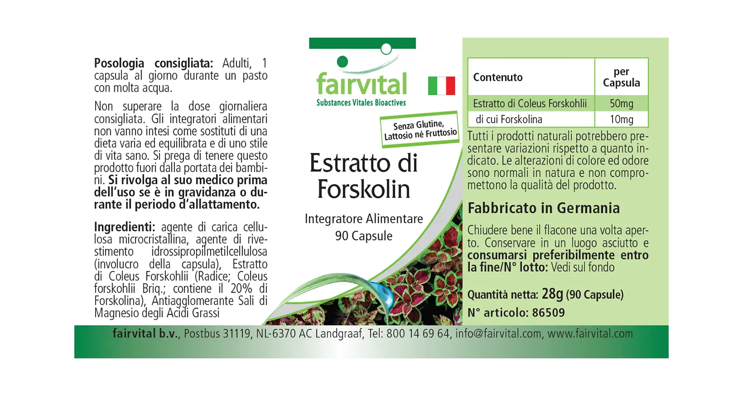 Forskolin Extrakt - 90 Kapseln - aus Coleus Forskohlii Extrakt - Hochdosiert und Vegan | Fairvital