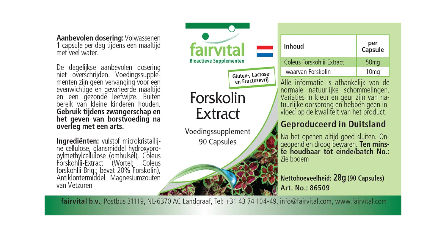Forskolin Extrakt - 90 Kapseln - aus Coleus Forskohlii Extrakt - Hochdosiert und Vegan | Fairvital