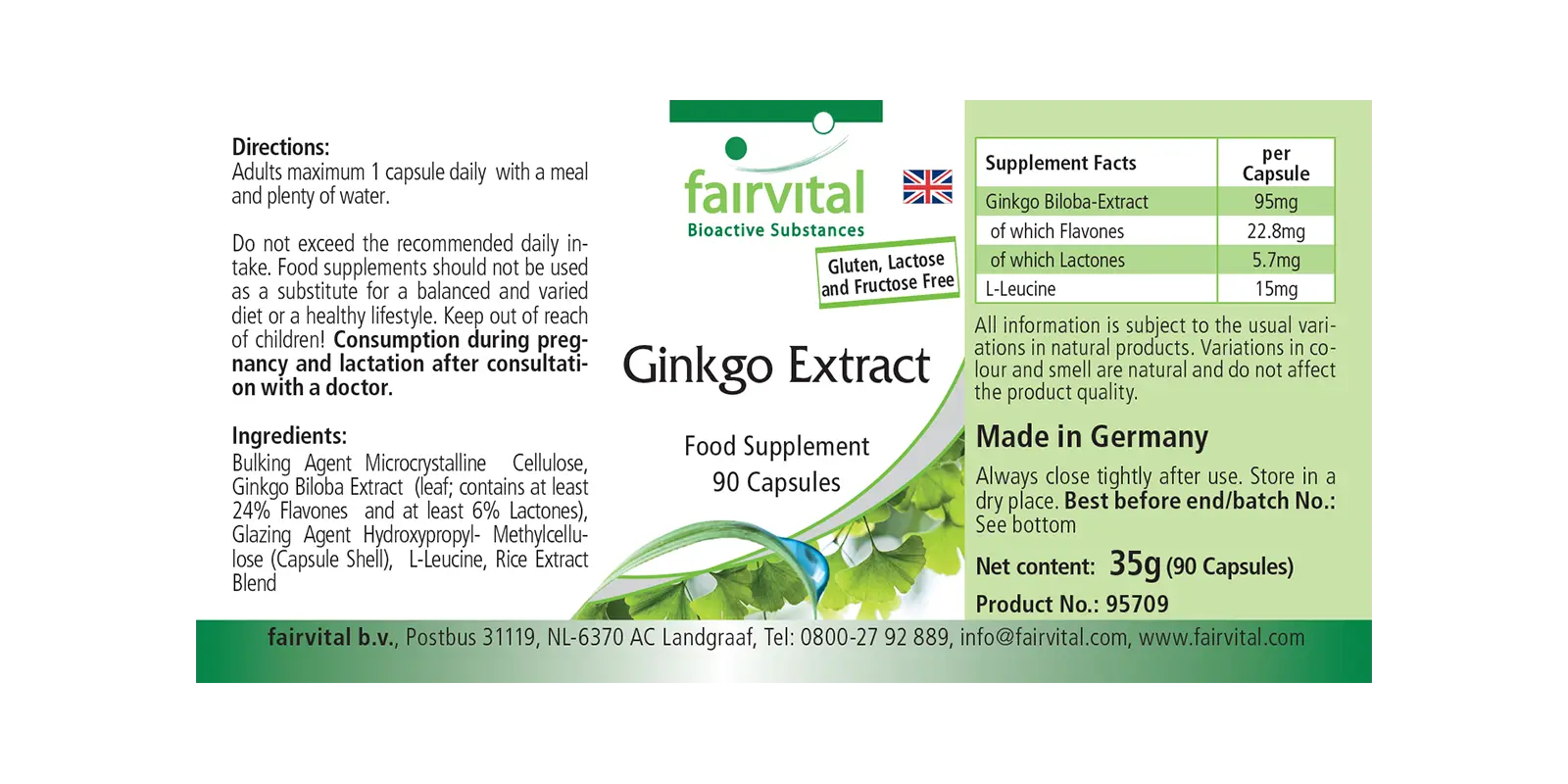 Ginkgo Extrakt- 90 Kapseln- Hochdosiert und Vegan | Fairvital