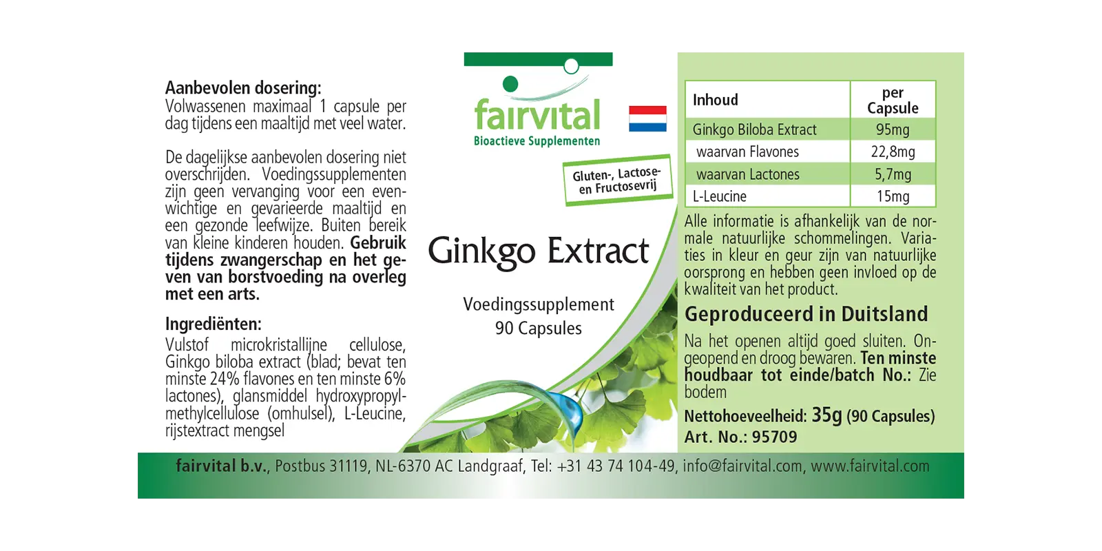 Ginkgo Extrakt- 90 Kapseln- Hochdosiert und Vegan | Fairvital