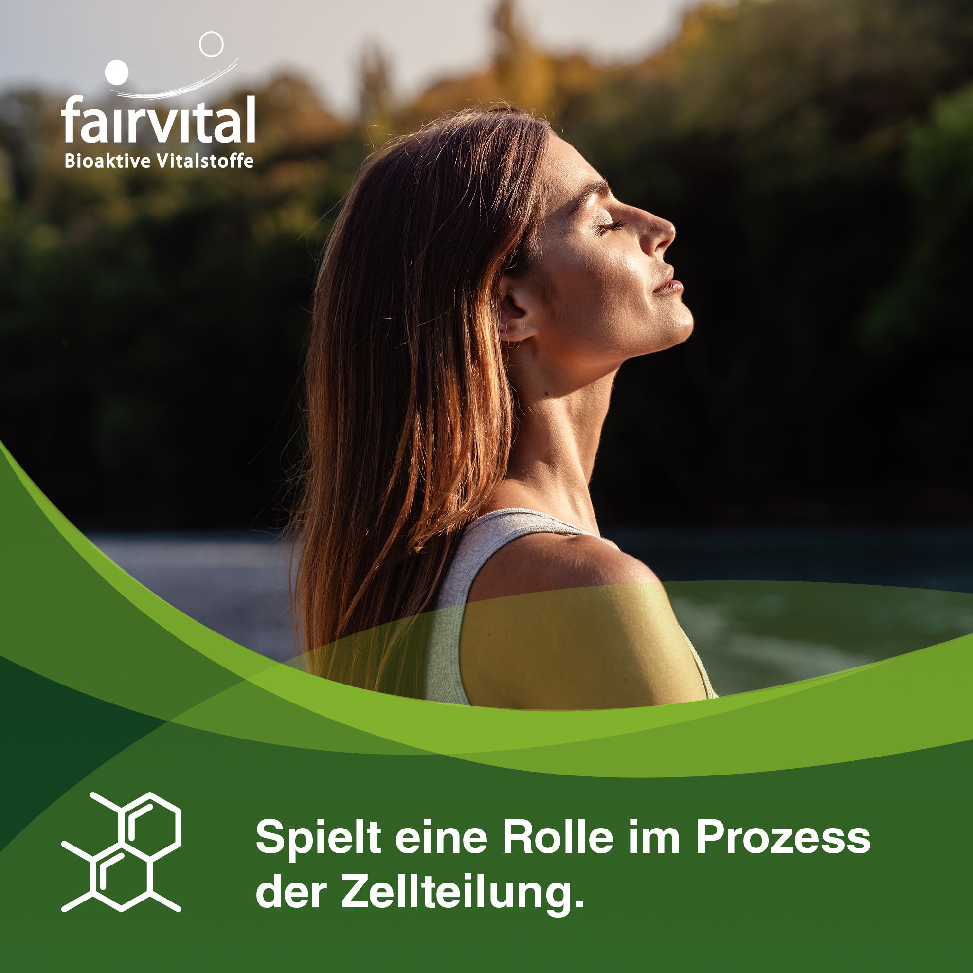 Mönchspfeffer 200mg mit Zink - 90 Kapseln - für Fruchtbarkeit, Fortpflanzung uvm. - Vegan | Fairvital