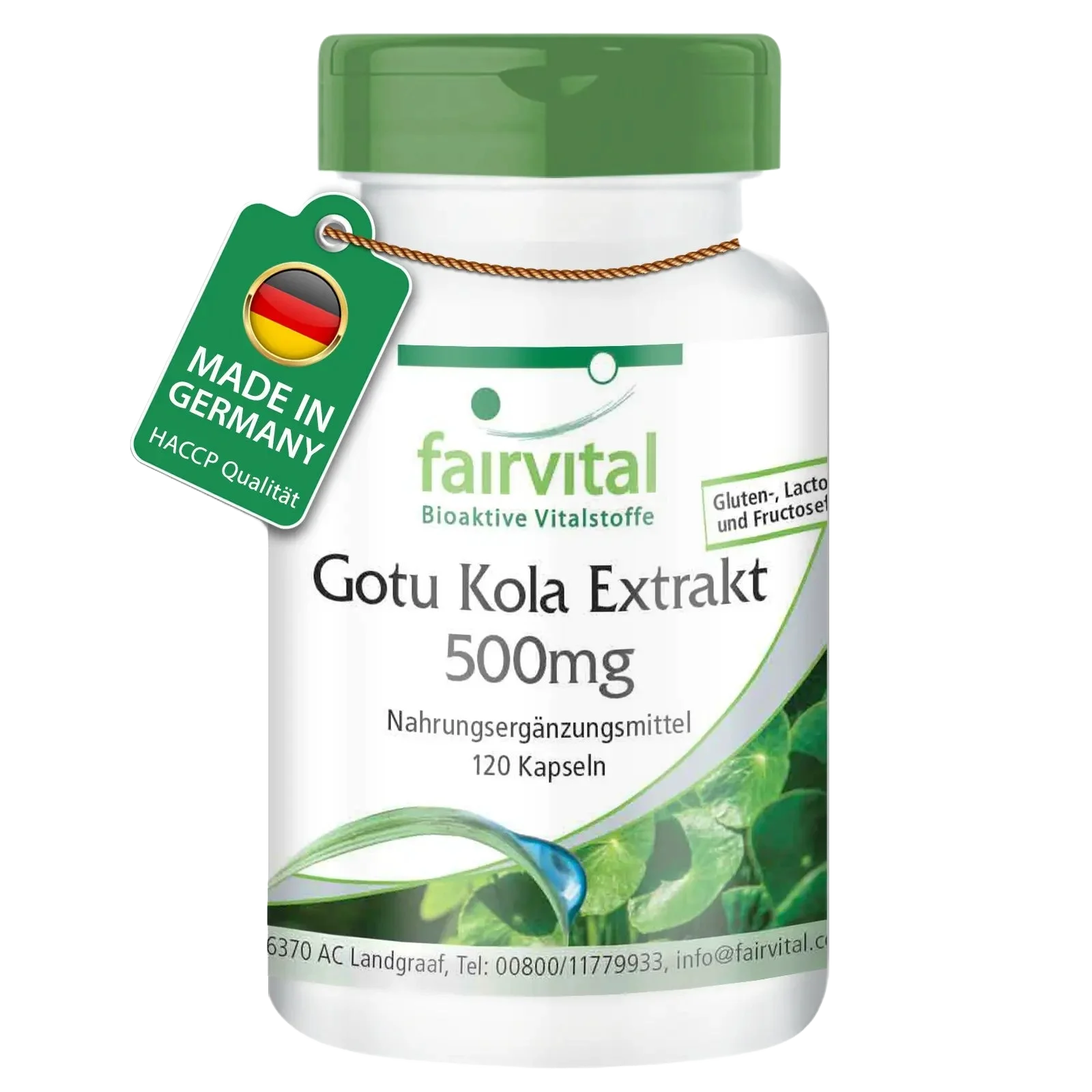 Gotu Kola Extrakt 500mg - 120 Kapseln - mit Vitamin C, Zink - für Immunsystem, Zellschutz uvm. - Vegan | Fairvital