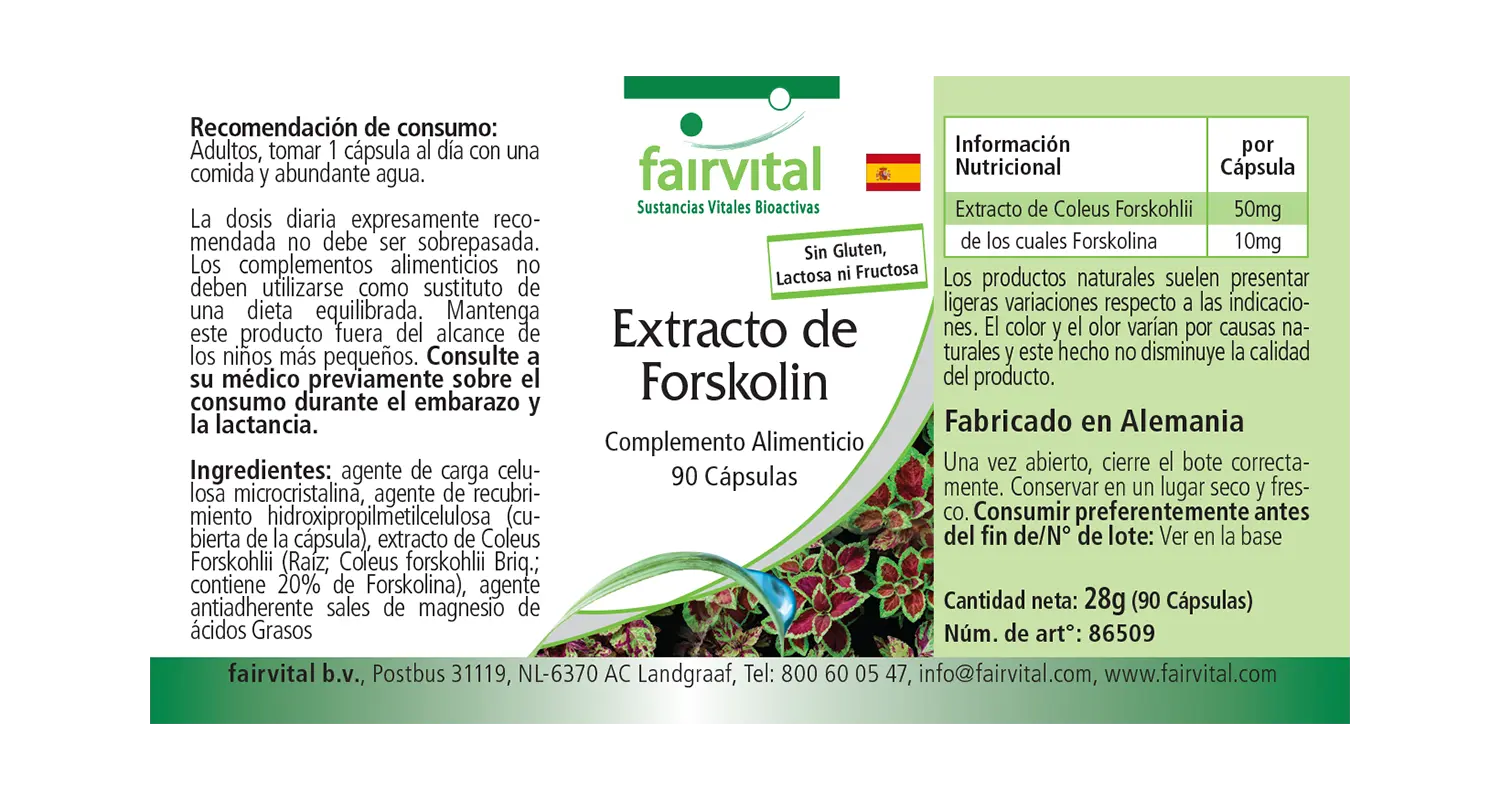 Forskolin Extrakt - 90 Kapseln - aus Coleus Forskohlii Extrakt - Hochdosiert und Vegan | Fairvital