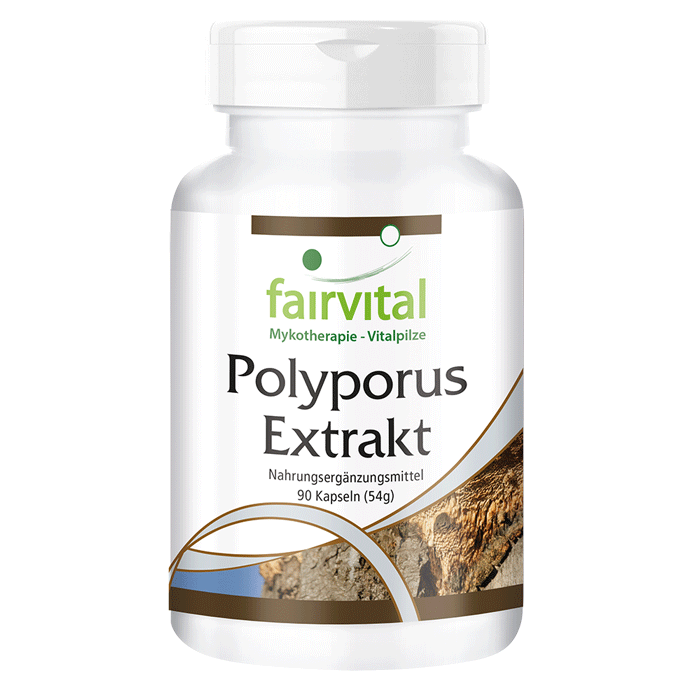 Polyporus Extrakt 500mg - 90 Kapseln - Polyporus umbellatus - Vegan | Fairvital