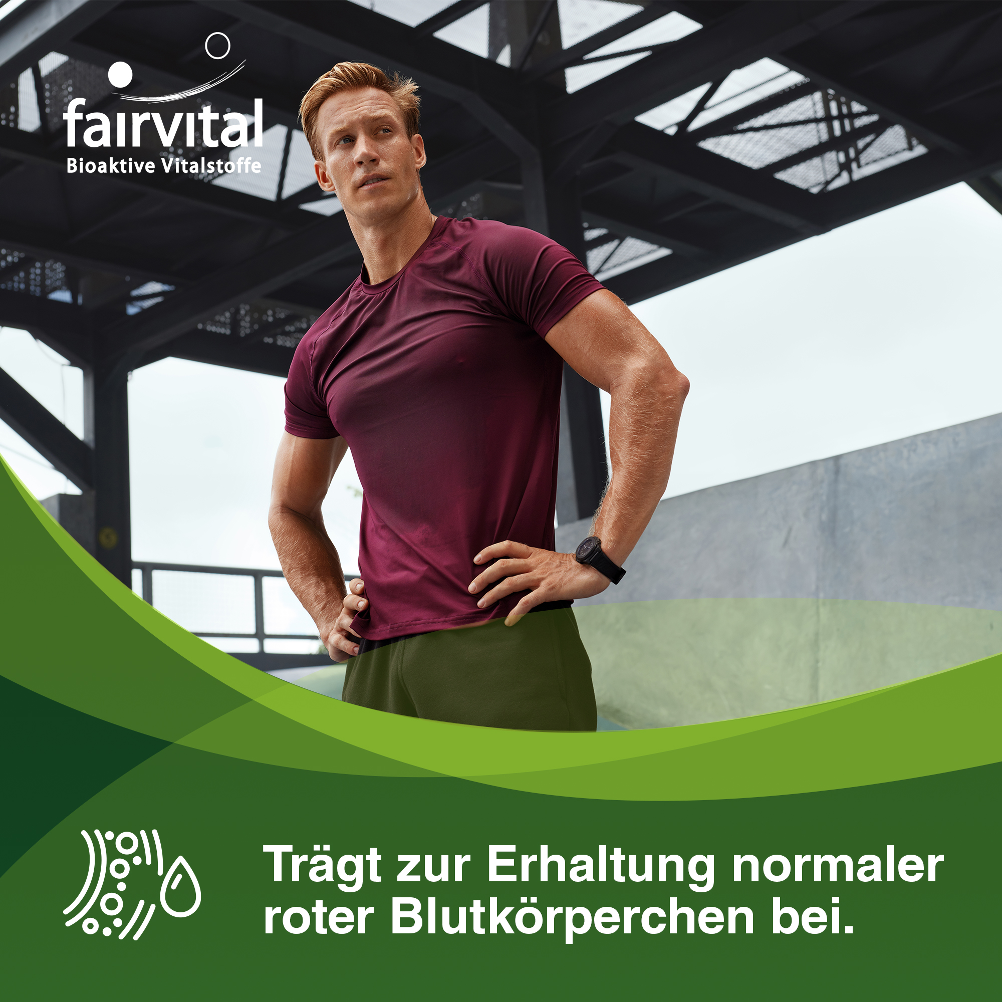 Gemüse Plus - 60 Kapseln - mit Cholin Zink uvm.- für Leberfunktion, Fettstoffwechsel, Immunsystem uvm. | Fairvital
