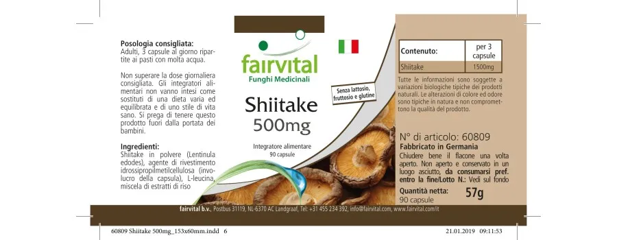 Shiitake 500mg - 90 Kapseln - Lentinula edodes - Hochdosiert und Vegan | Fairvital