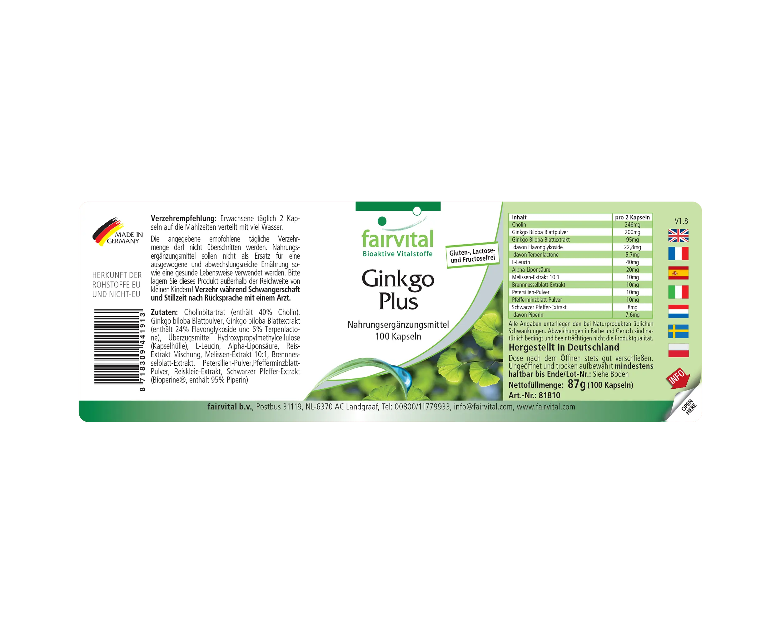 Ginkgo Plus - 100 Kapseln - mit Cholin - für Leberfunktion und Fettstoffwechsel - Vegan | Fairvital