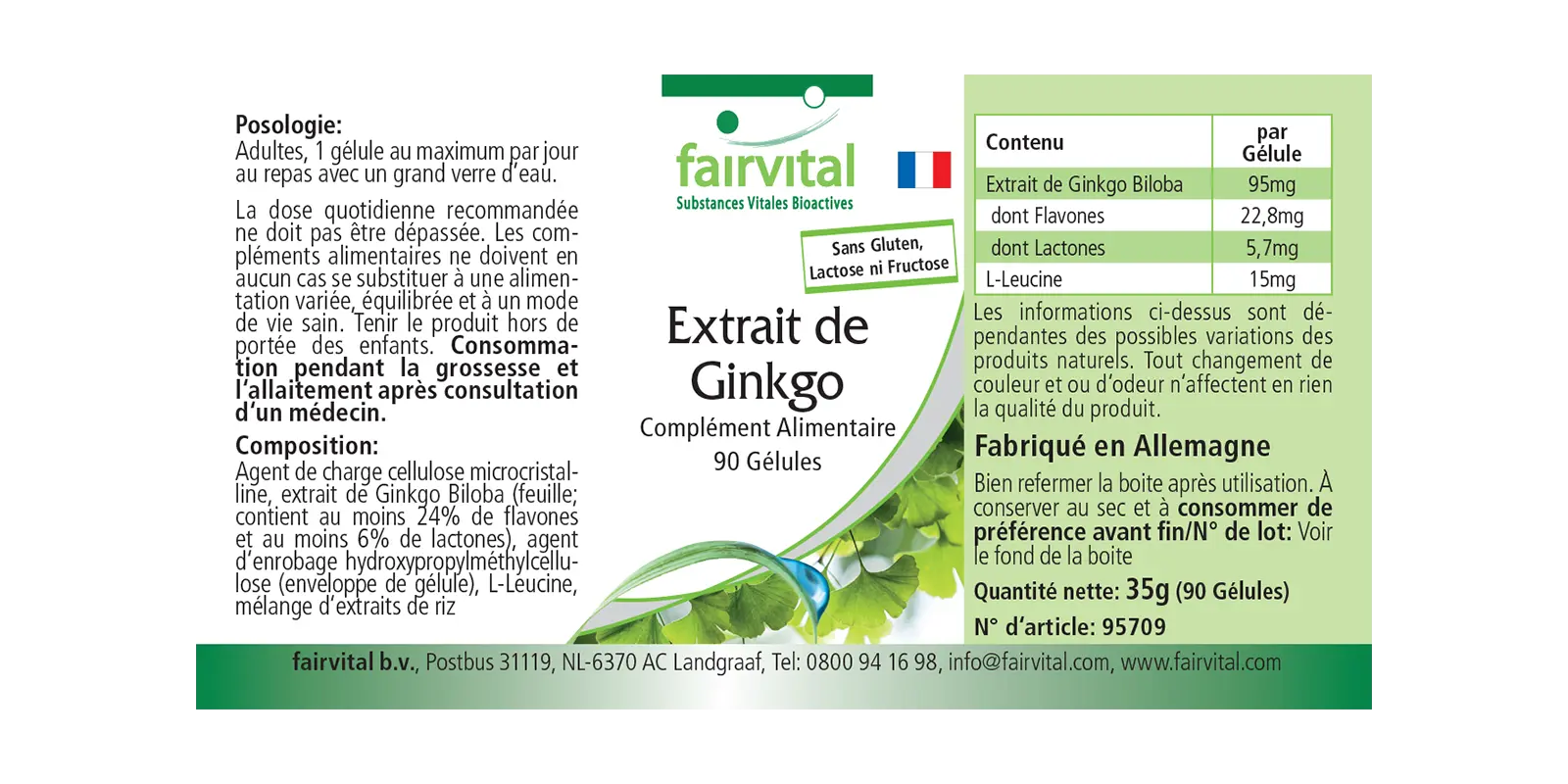 Ginkgo Extrakt- 90 Kapseln- Hochdosiert und Vegan | Fairvital