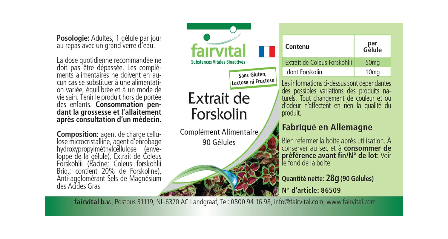 Forskolin Extrakt - 90 Kapseln - aus Coleus Forskohlii Extrakt - Hochdosiert und Vegan | Fairvital