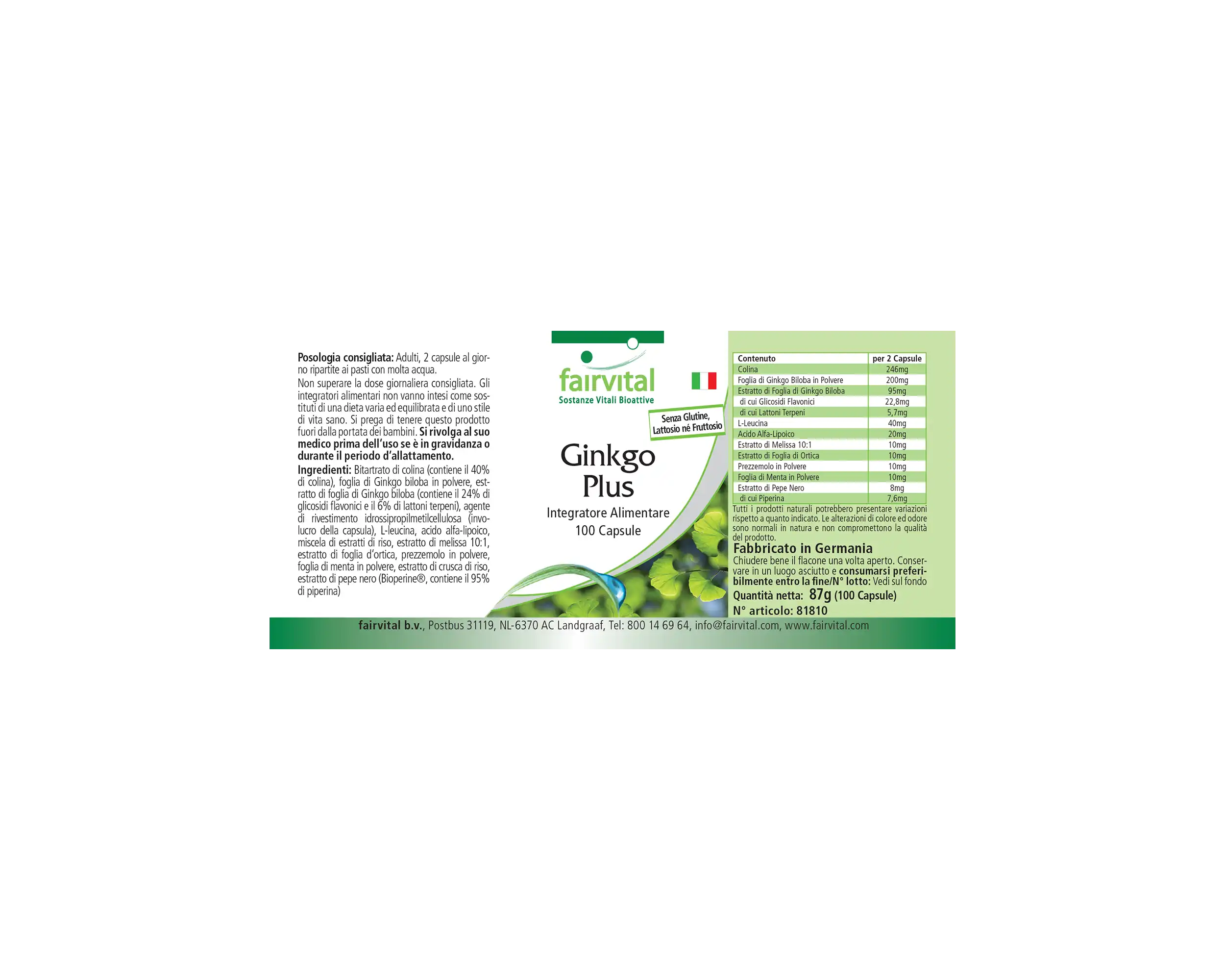 Ginkgo Plus - 100 Kapseln - mit Cholin - für Leberfunktion und Fettstoffwechsel - Vegan | Fairvital