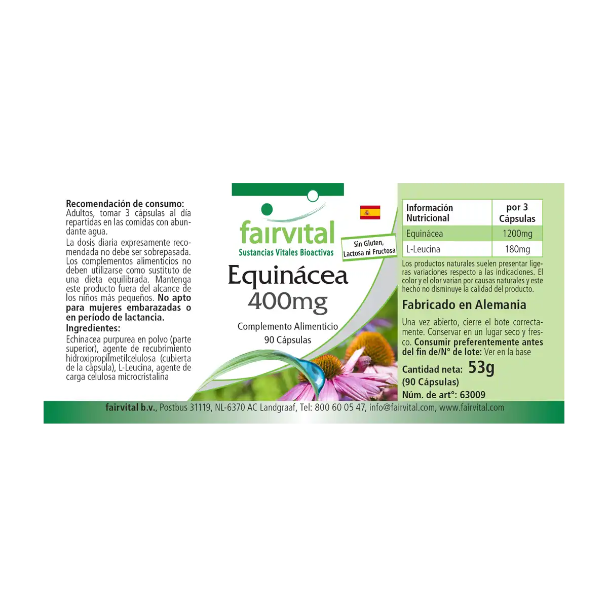 Echinacea 400mg - 90 Kapseln - Hochdosiert und Vegan | Fairvital