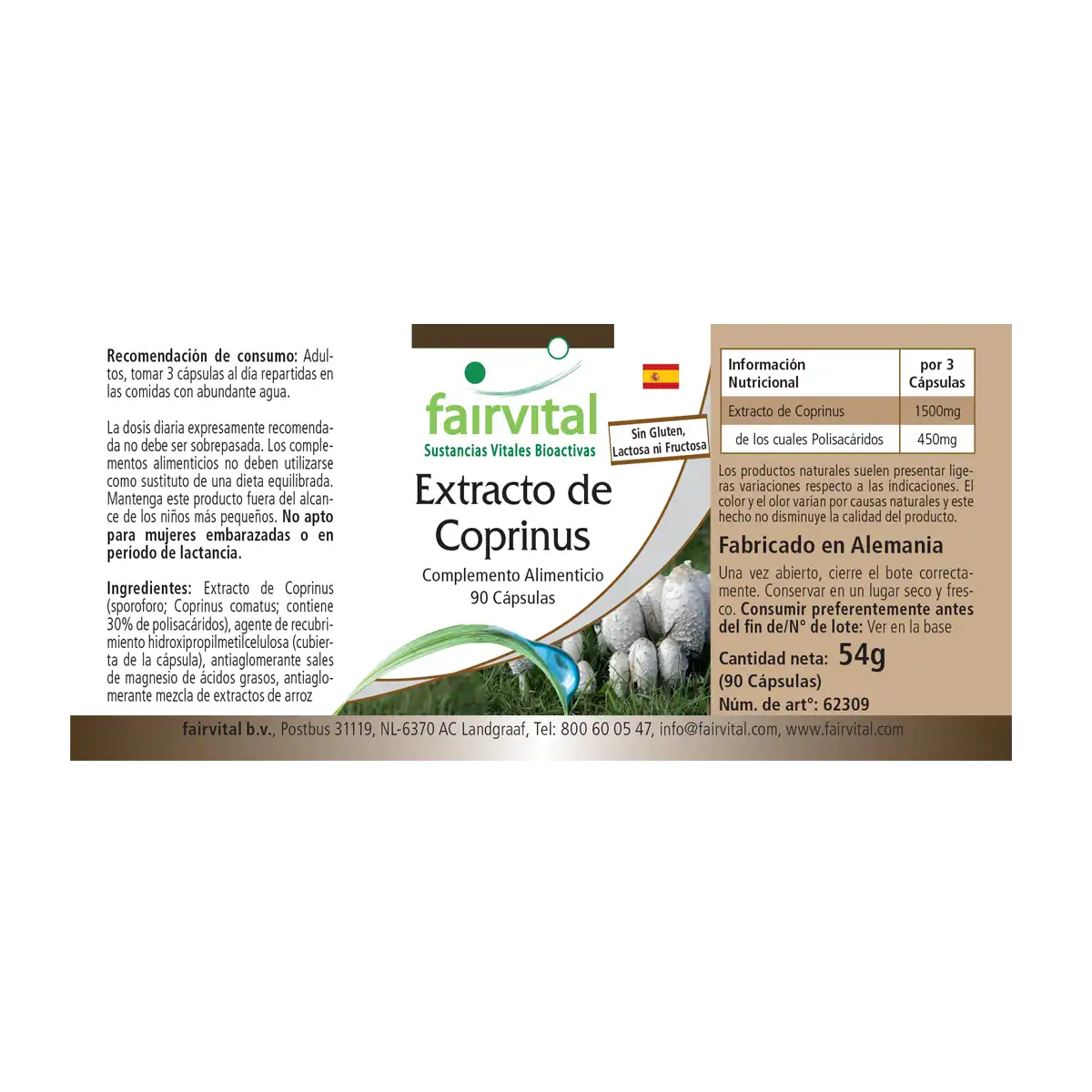 Coprinus Extrakt 500mg - 90 Kapseln - Schopftintling Kapseln - Coprinus comatus (Spargelpilz) - 30% Polysaccharide| Fairvital