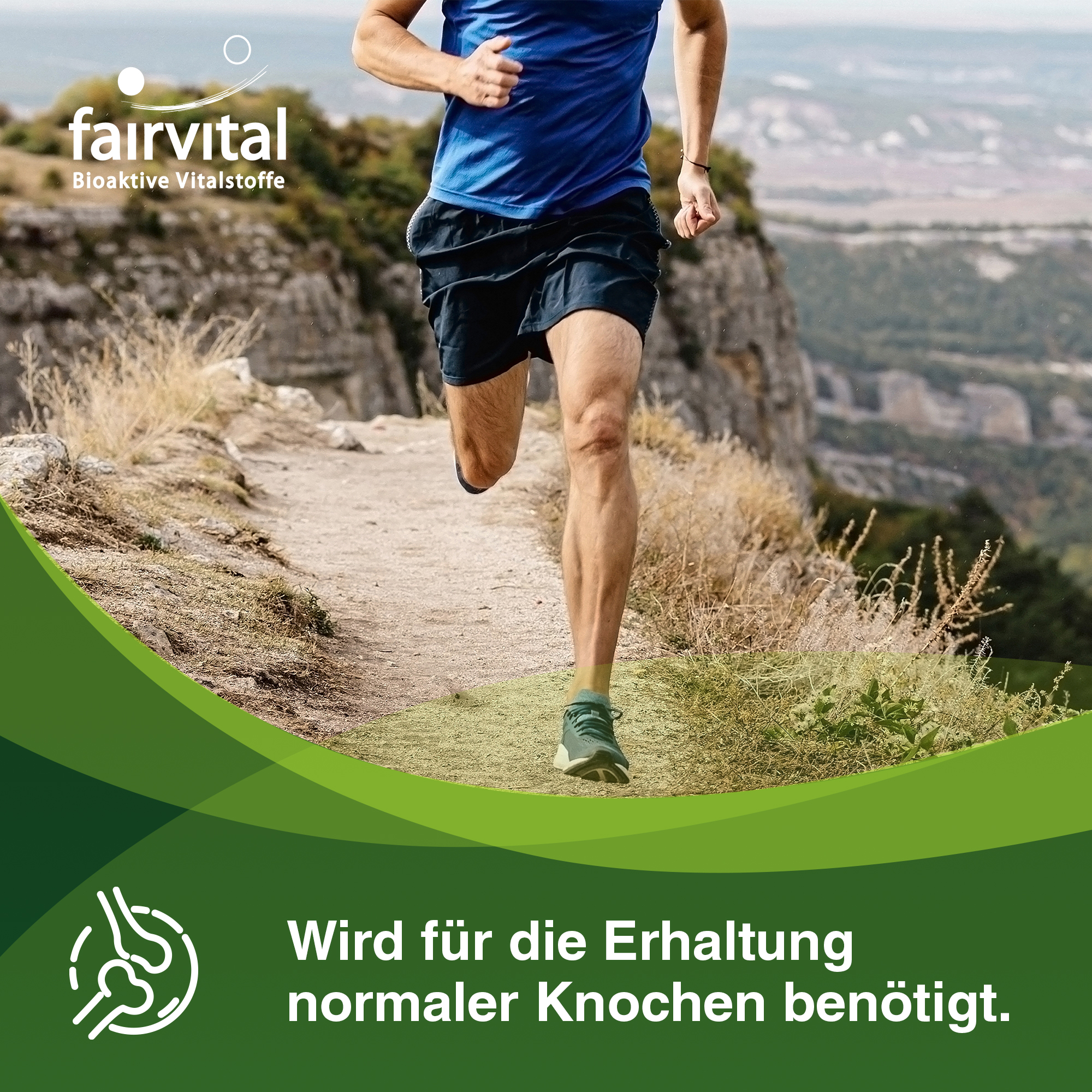 Mönchspfeffer 200mg mit Zink - 90 Kapseln - für Fruchtbarkeit, Fortpflanzung uvm. - Vegan | Fairvital