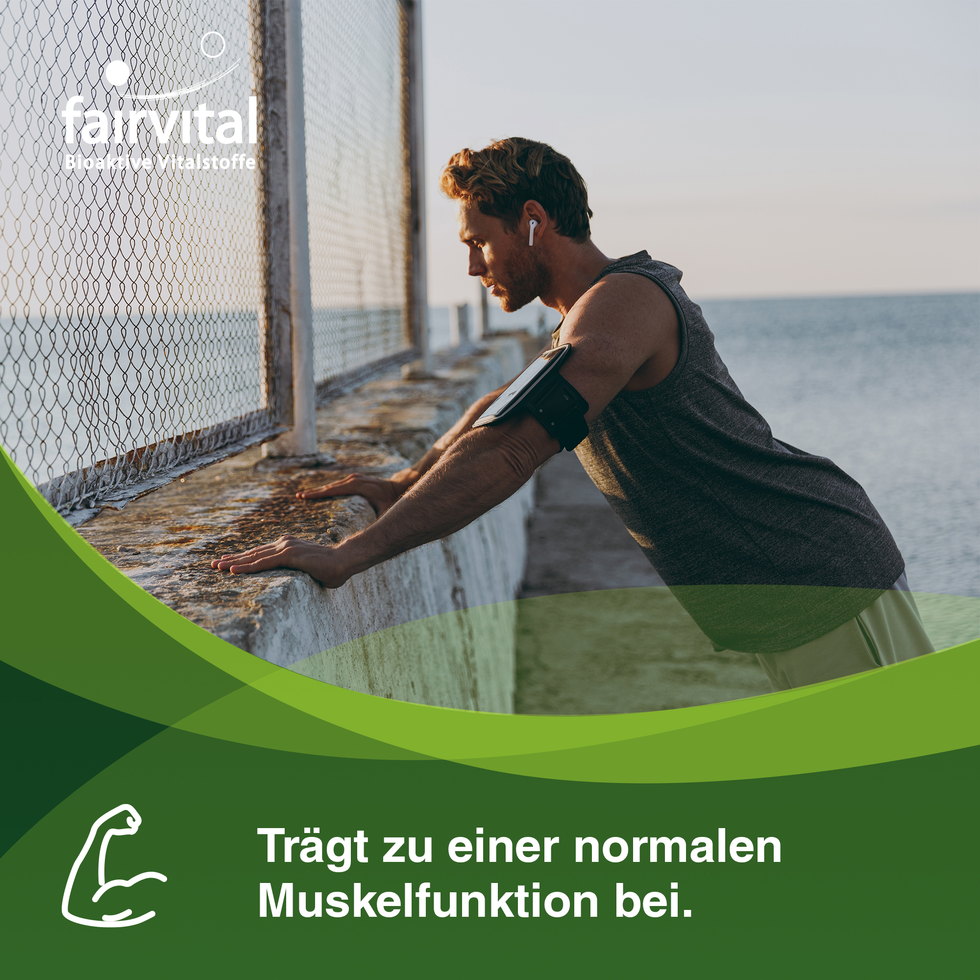 Magnesiumbisglycinat 500mg - 90 Kapseln - für Knochen, Muskeln uvm. - Vegan | Fairvital