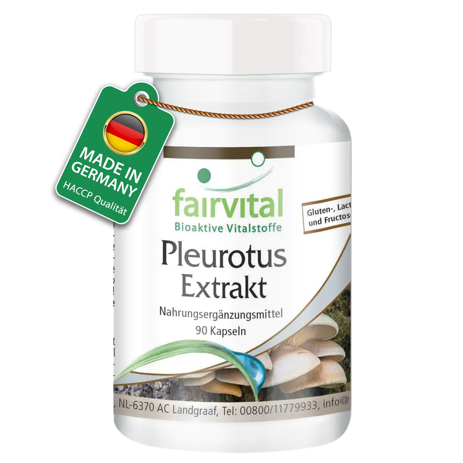 Pleurotus Extrakt - 90 Kapseln - Pleurotus ostreatus (Austernseitling) - 30% Polysaccharide - Vegan | Fairvital