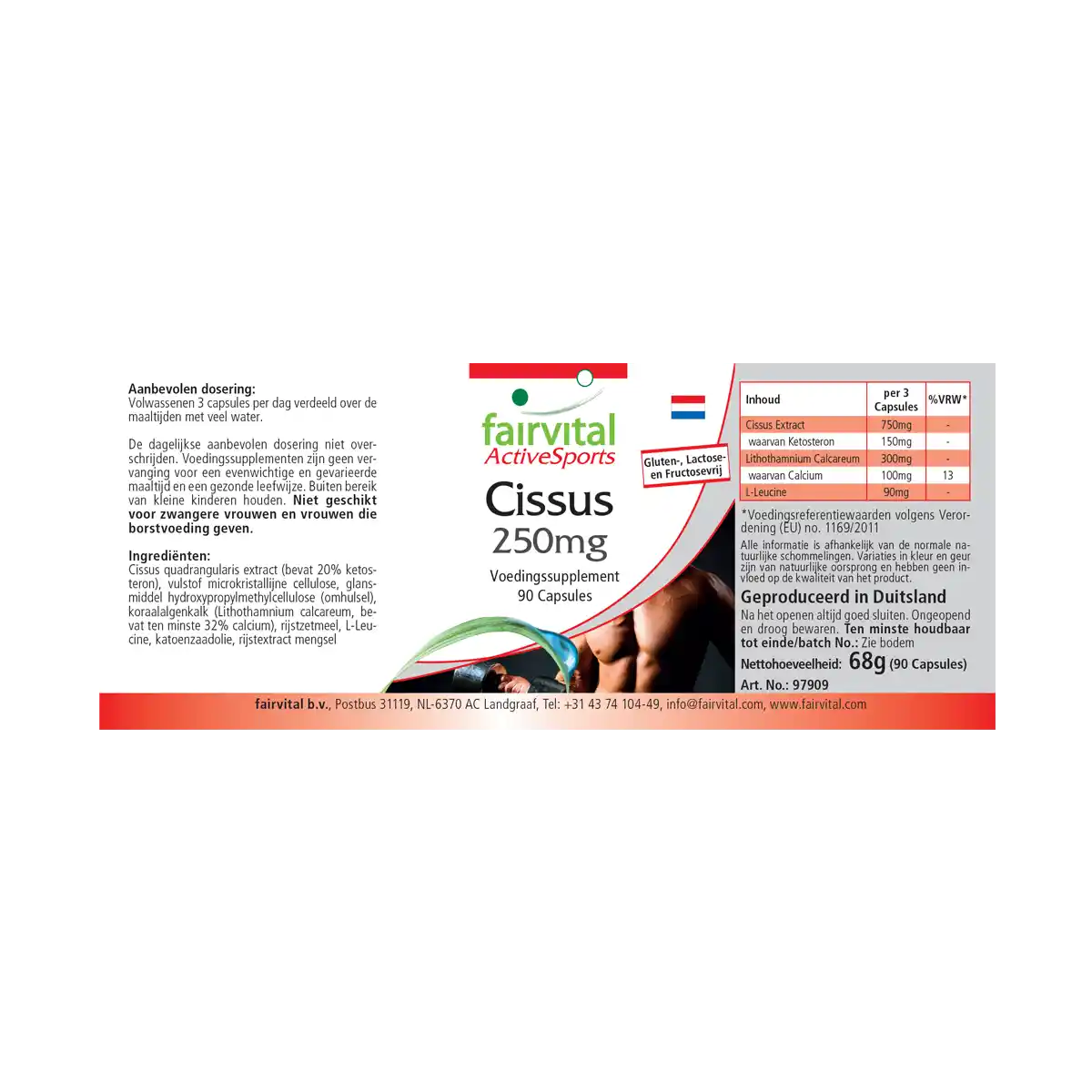 Cissus 250mg - 90 Kapseln - Cissus Quadrangularis - Hochdosiert und Vegan | Fairvital