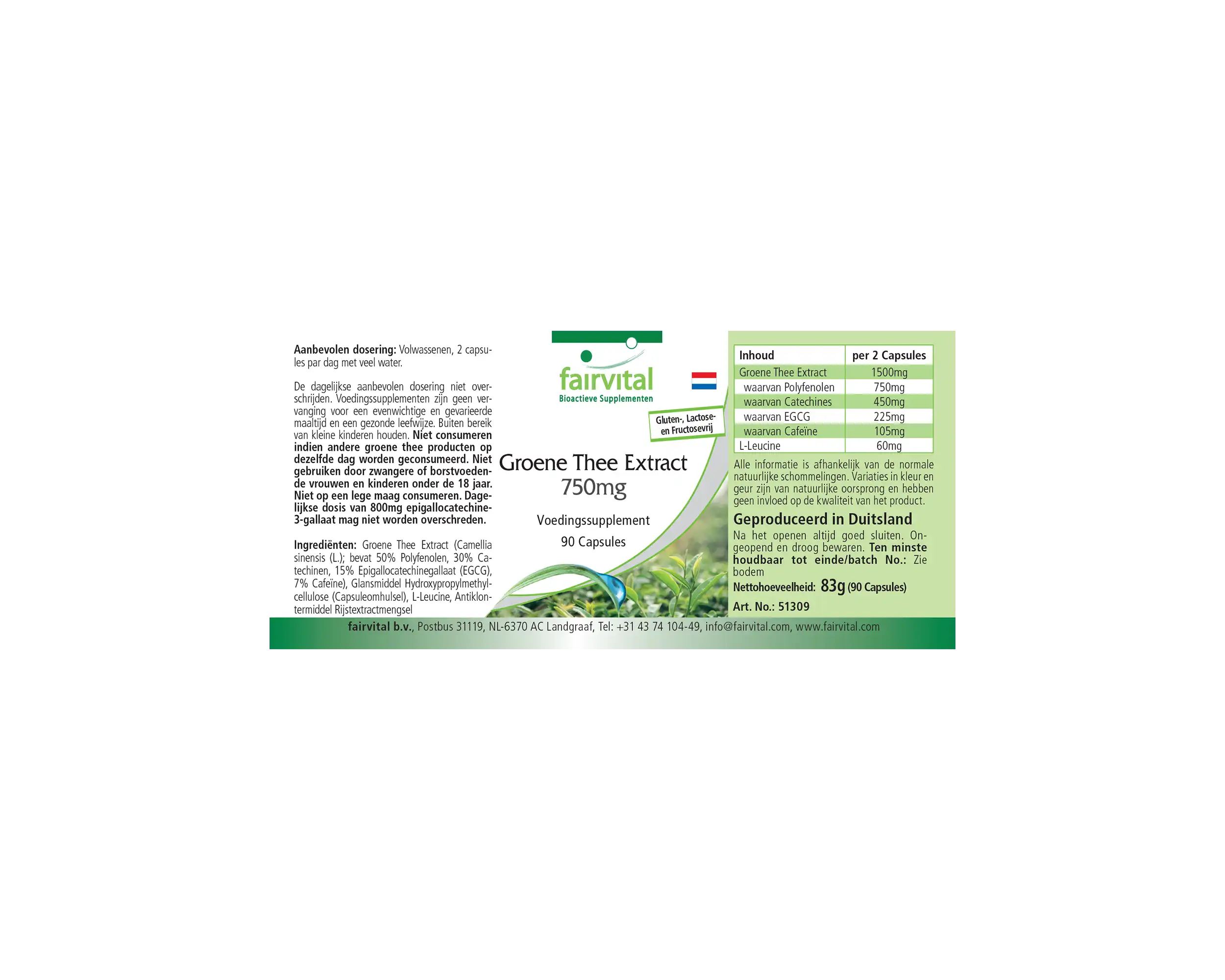 Grüner Tee Extrakt 750mg - Camellia Sinensis - 90 Kapseln - Hochdosiert und Vegan | Fairvital
