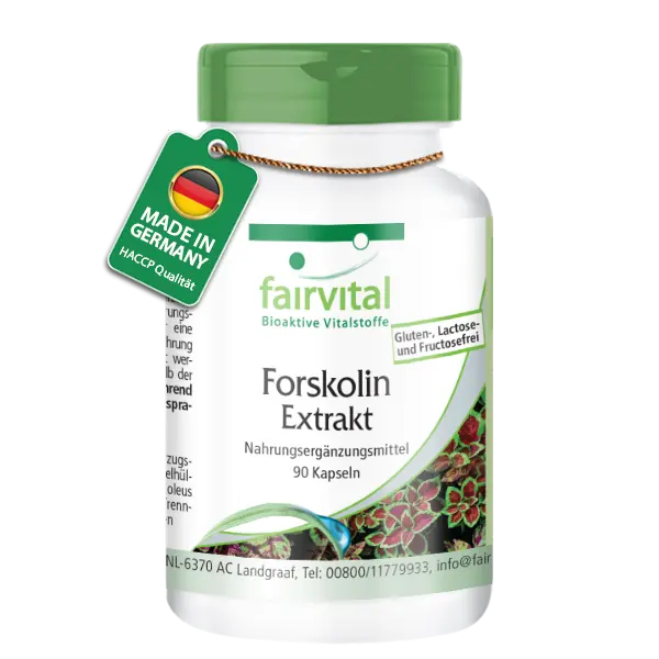 Forskolin Extrakt - 90 Kapseln - aus Coleus Forskohlii Extrakt - Hochdosiert und Vegan | Fairvital