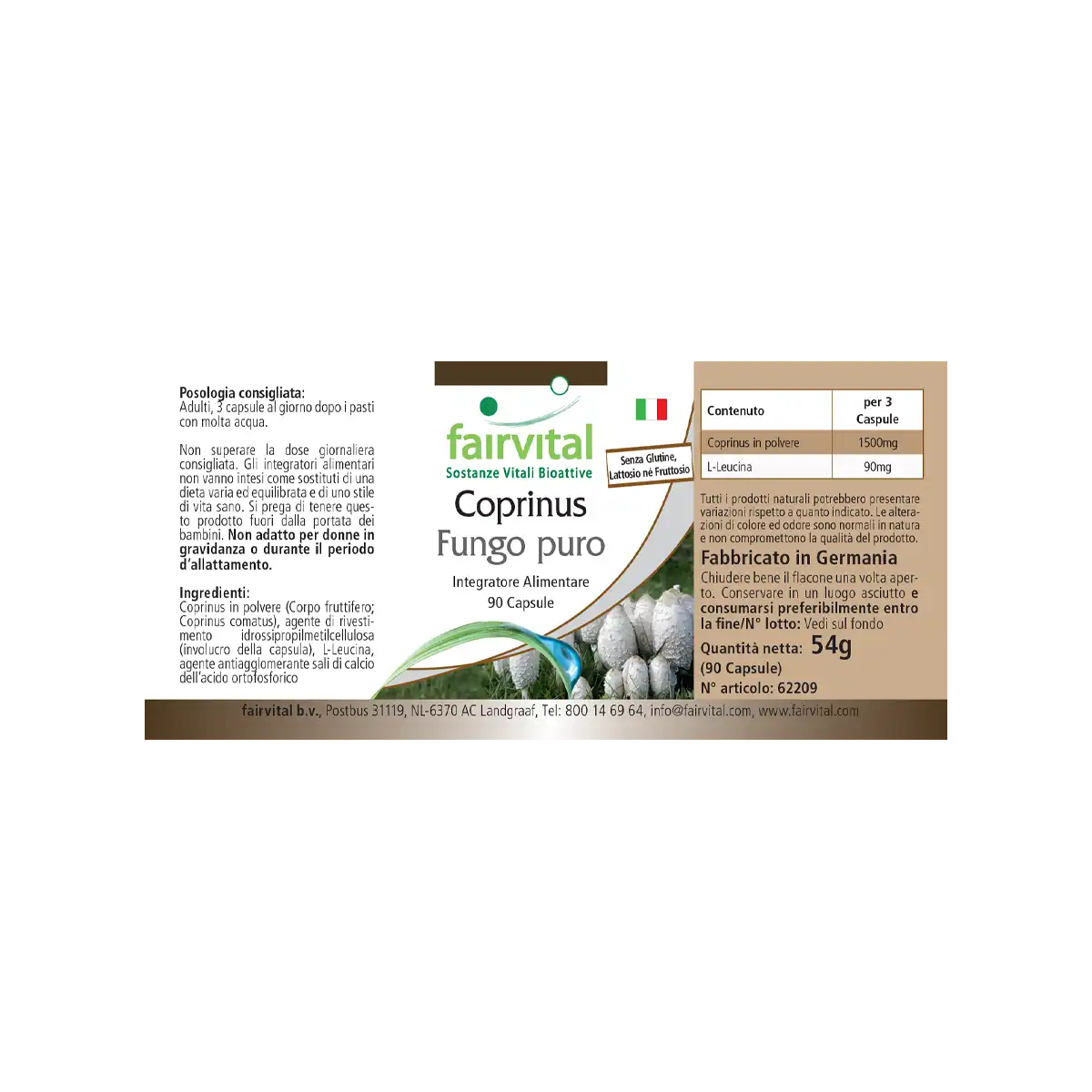 Coprinus 500mg - 90 Kapseln - Coprinus comatus (Spargelpilz) - Hochdosiert und Vegan | Fairvital